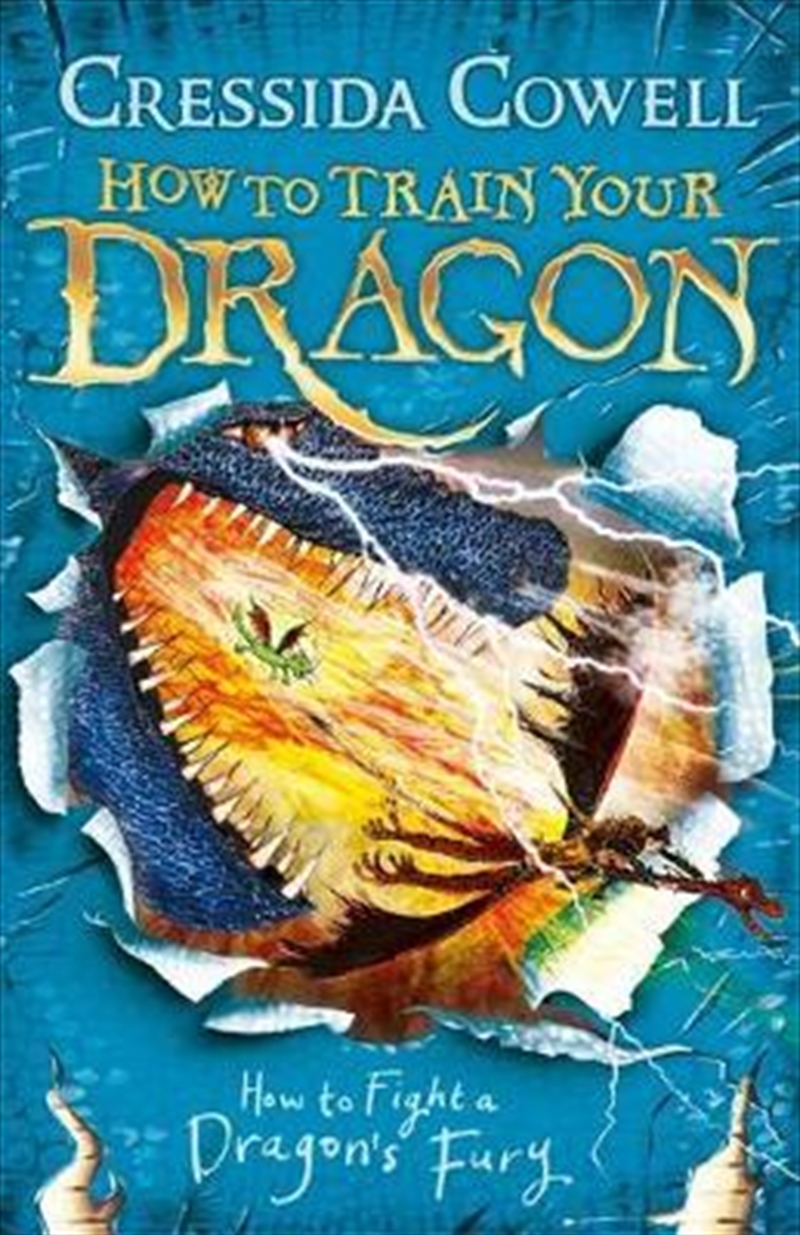 How To Train Your Dragon 12 How to Fight a Dragon's Fury/Product Detail/Childrens Fiction Books