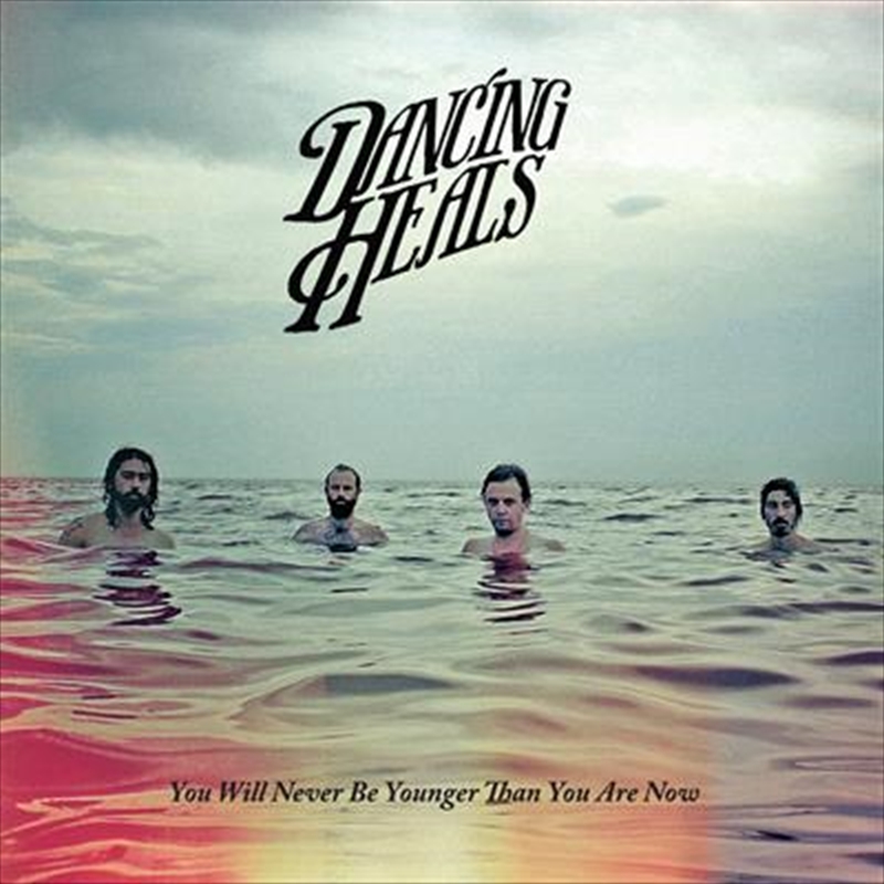 You Will Never Be../Product Detail/Alternative