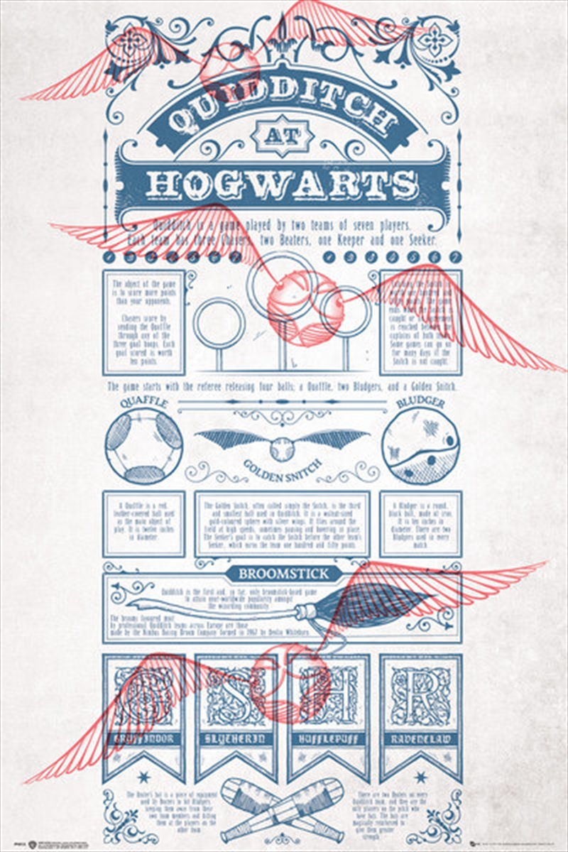 Quidditch Rules/Product Detail/Posters & Prints