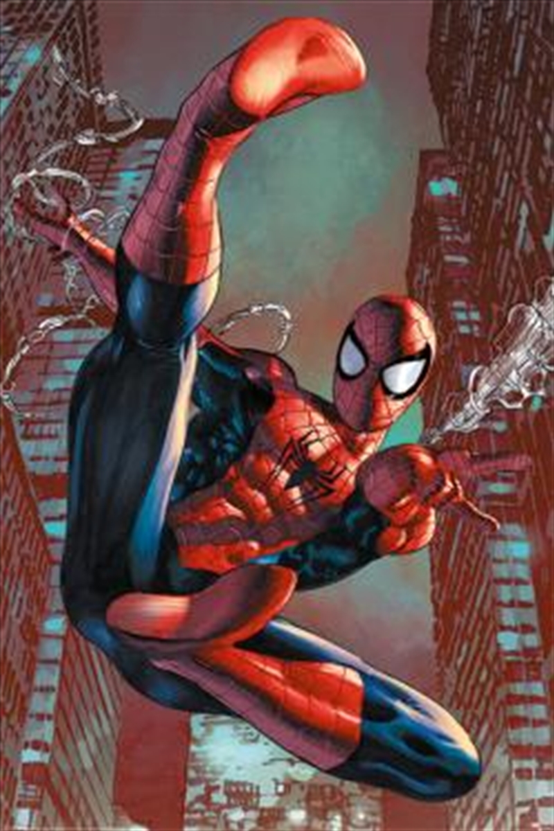 Spiderman Websling/Product Detail/Posters & Prints