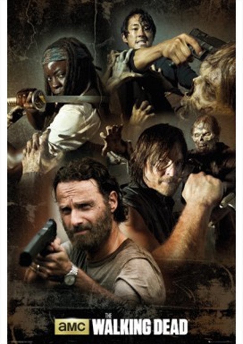 The Walking Dead Collage/Product Detail/Posters & Prints