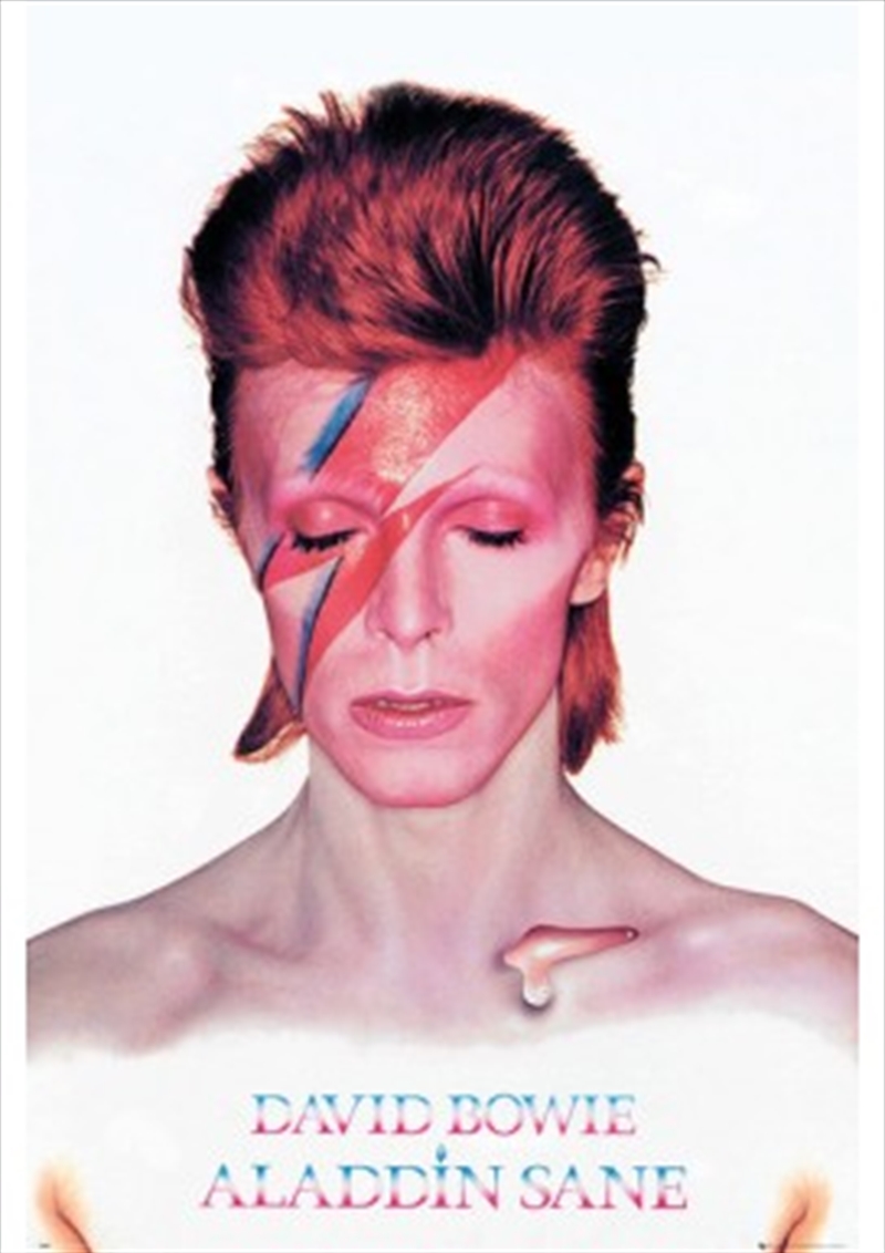 David Bowie Aladdin Sane/Product Detail/Posters & Prints