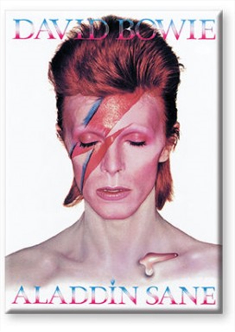 David Bowie Aladdin Sane Flat Magnet/Product Detail/Magnets