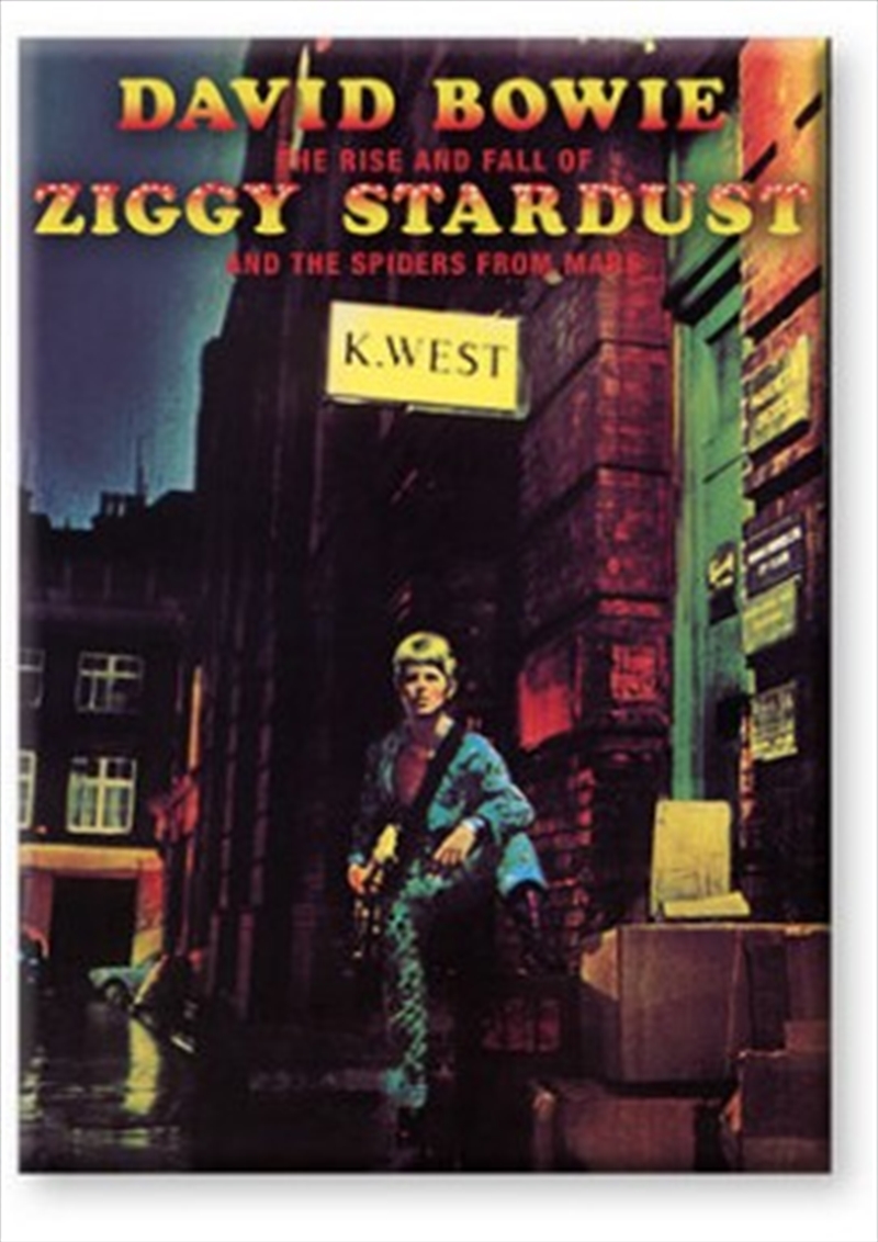 David Bowie Ziggy Stardust Flat Magnet/Product Detail/Magnets