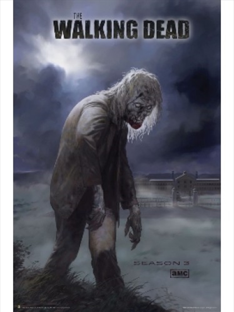 The Walking Dead Zombie/Product Detail/Posters & Prints