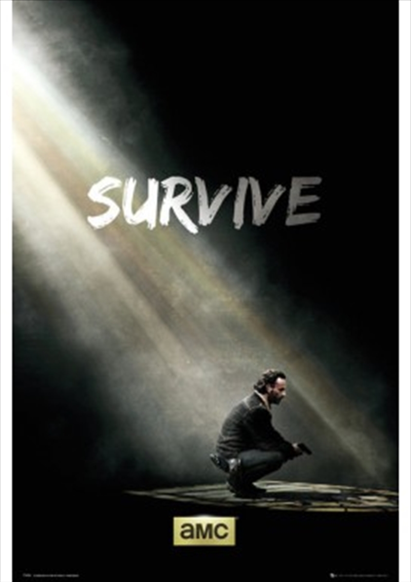 The Walking Dead Survive/Product Detail/Posters & Prints