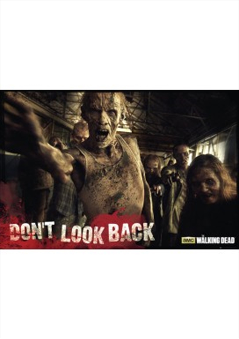 The Walking Dead Don't Look Back Zombies | Merchandise