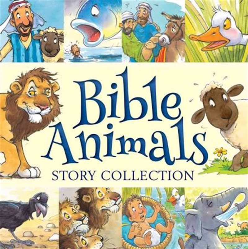 Bible Animals Story Collection/Product Detail/Religion & Beliefs