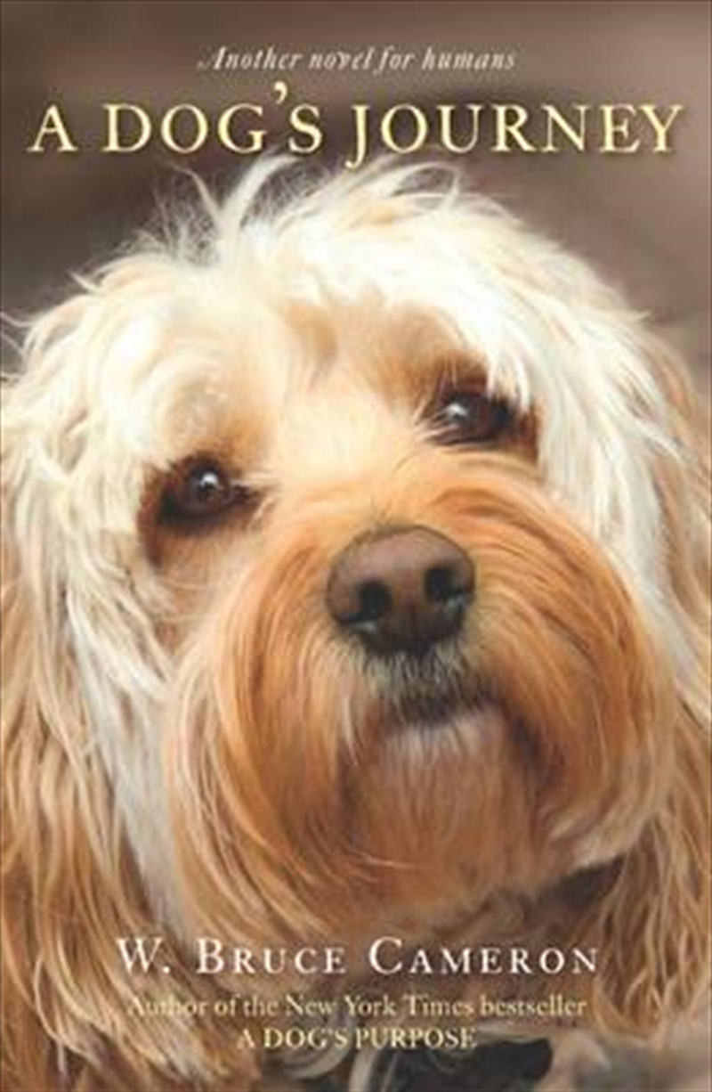 A Dog's Journey/Product Detail/General Fiction Books