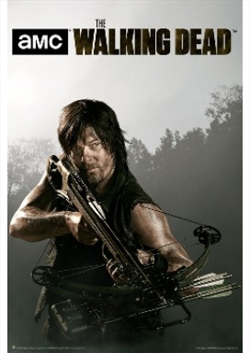 Daryl Crossbow/Product Detail/Posters & Prints