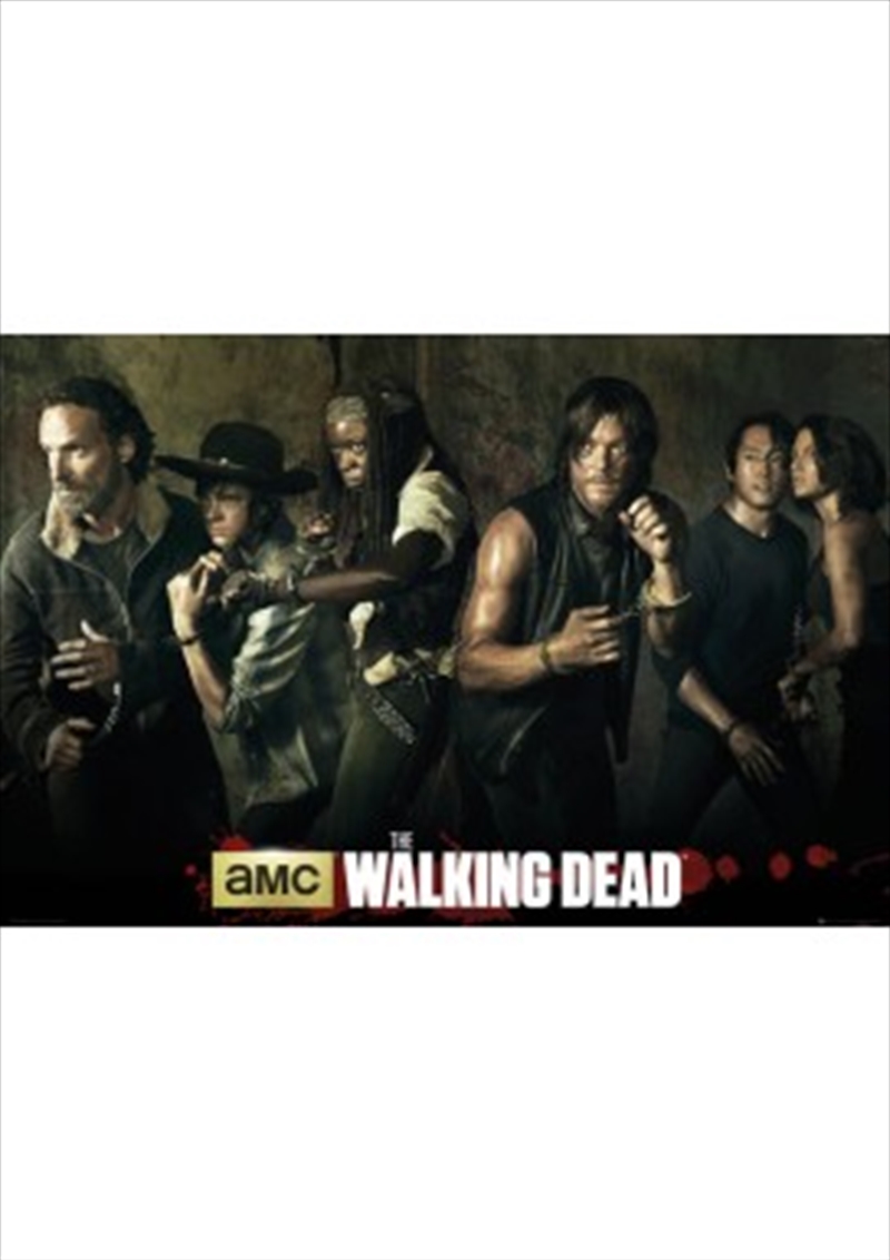 Walking Dead Cast/Product Detail/Posters & Prints