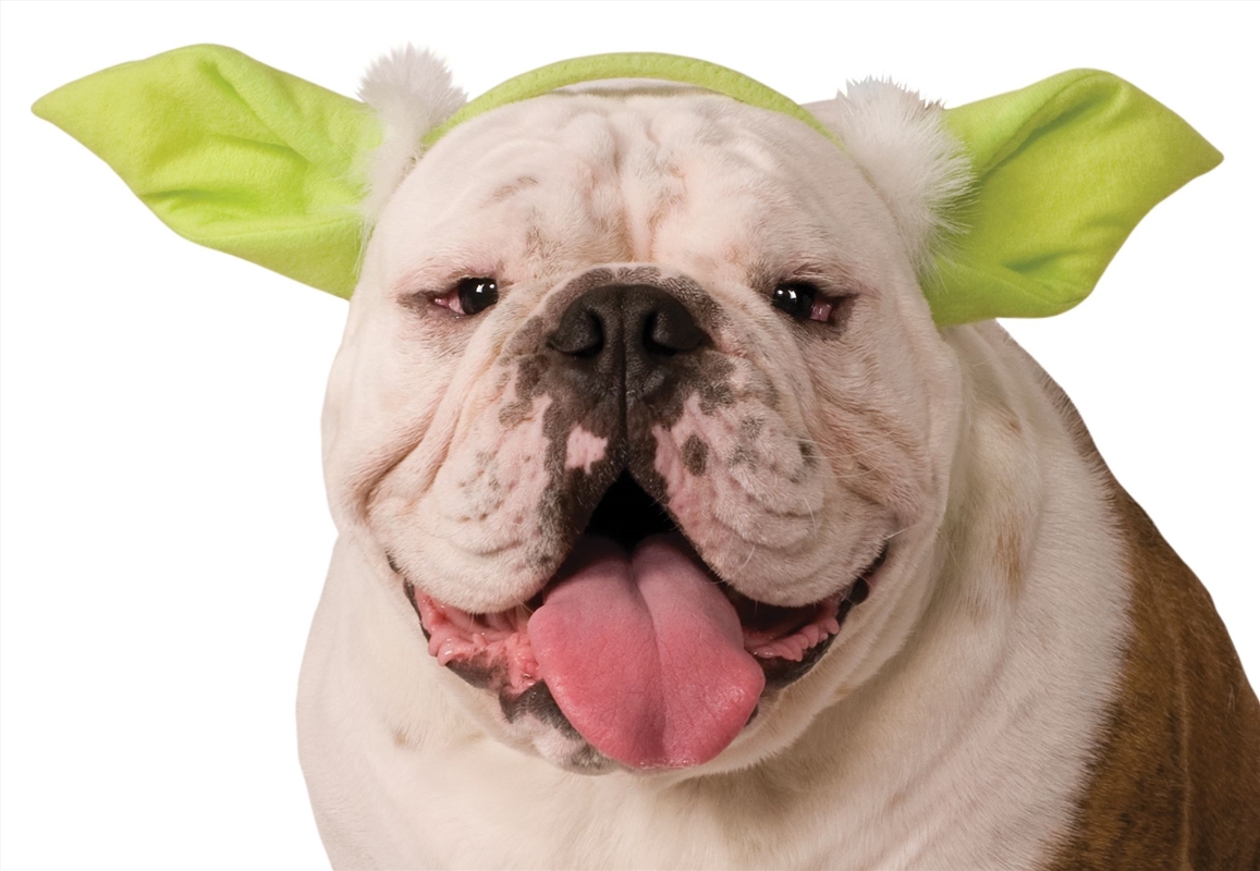 Yoda Headband S-M/Product Detail/Pet Accessories