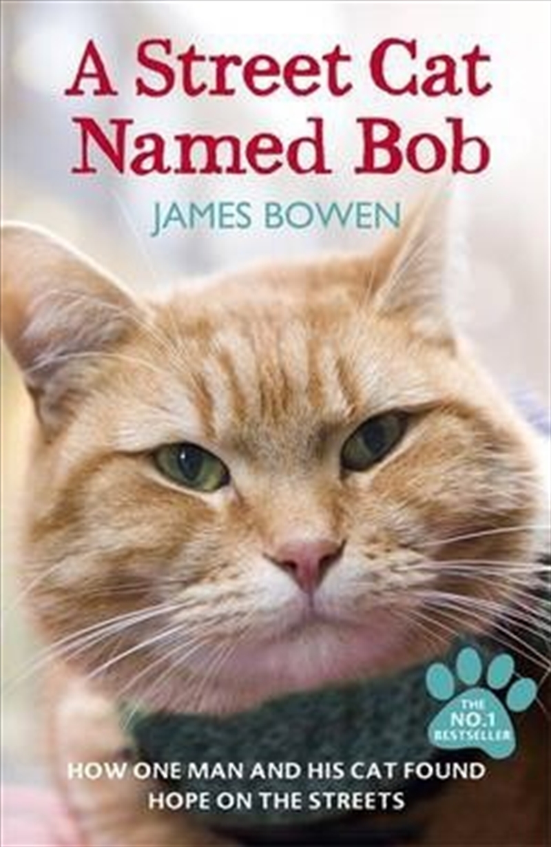 A Street Cat Named Bob/Product Detail/Arts & Entertainment Biographies