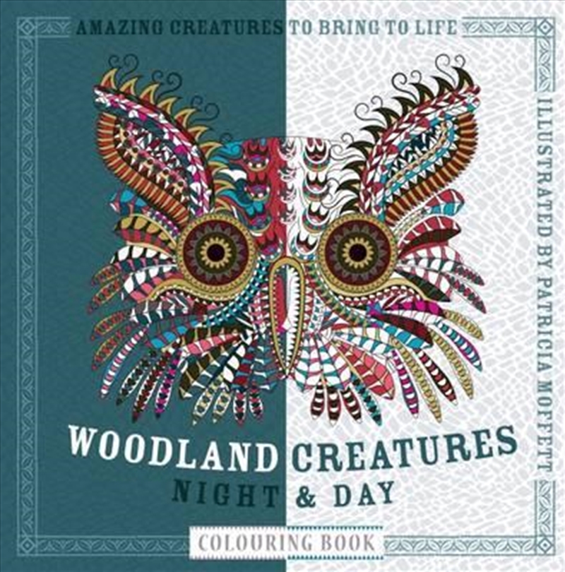 Woodland Creatures Night and Day Colouring Book/Product Detail/Colouring