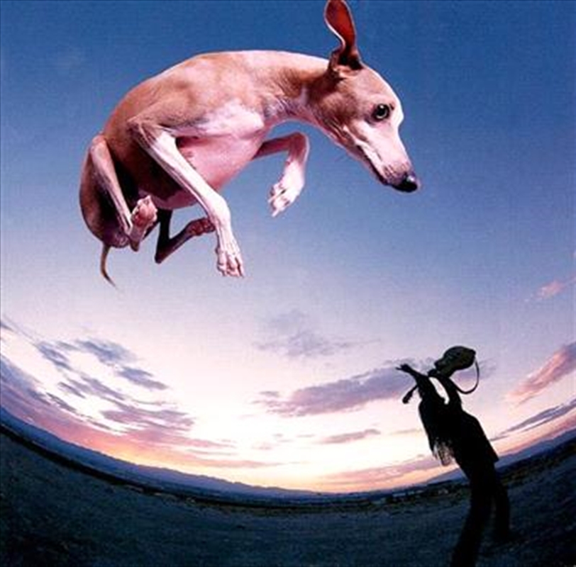 Flying Dog/Product Detail/Rock