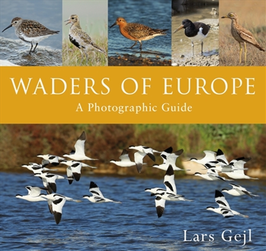 Waders of Europe/Product Detail/Reading