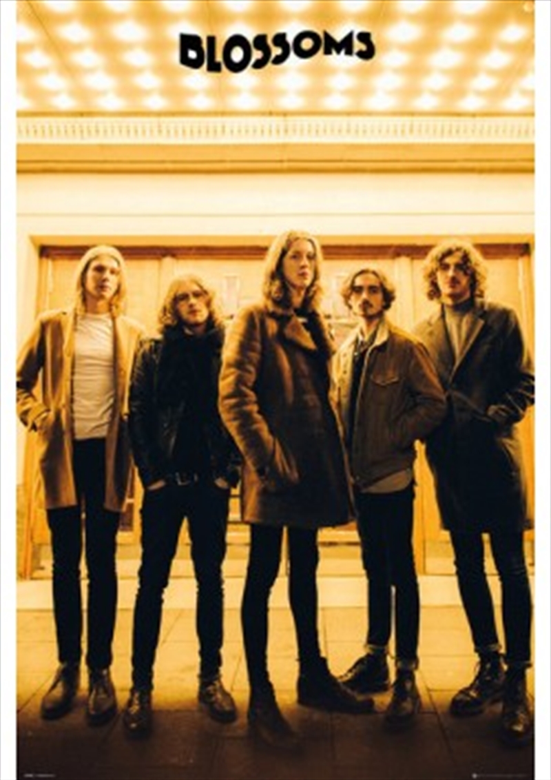 Blossoms Band/Product Detail/Posters & Prints