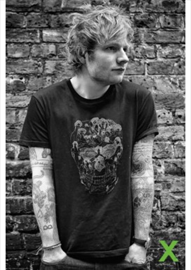 Ed Sheeran Skull/Product Detail/Posters & Prints