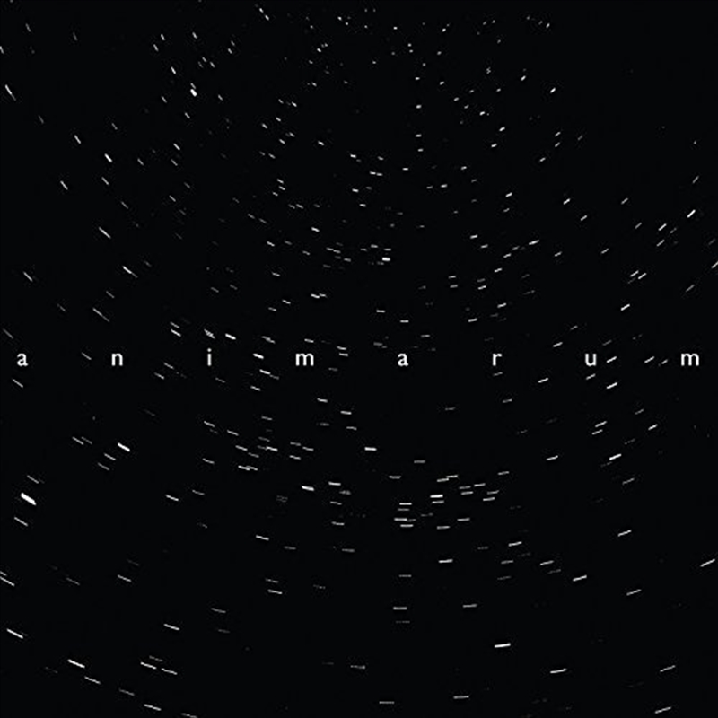 Animarum/Product Detail/Jazz