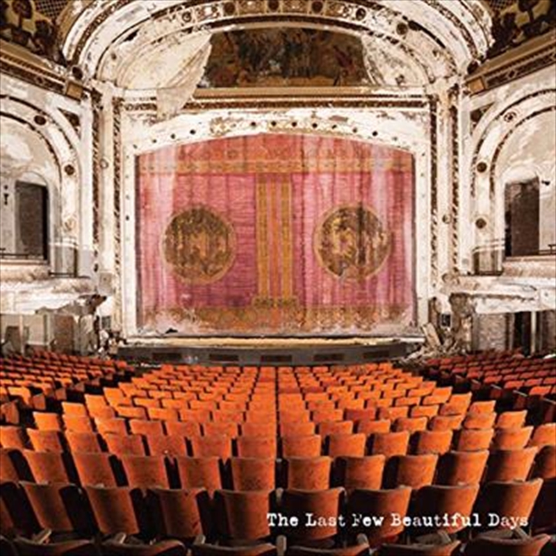 Last Few Beautiful Days/Product Detail/Rock