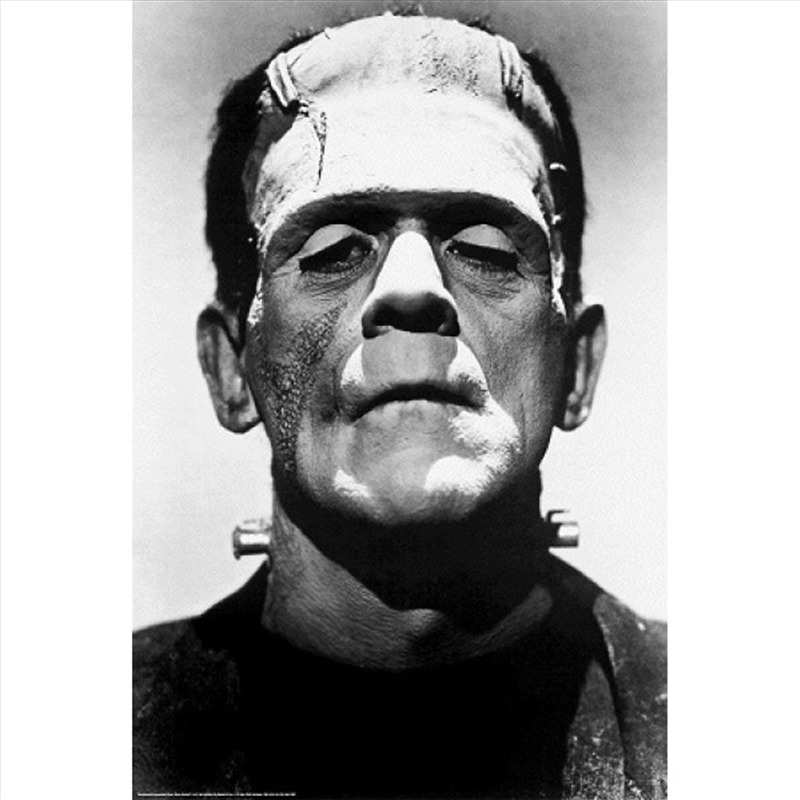 Frankenstein Boris Karloff 1931/Product Detail/Posters & Prints