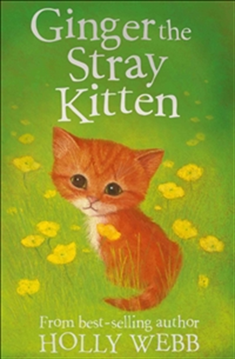Ginger the Stray Kitten/Product Detail/General Fiction Books