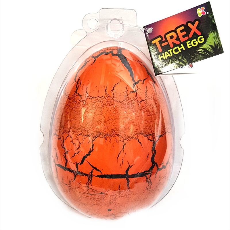 Large T-Rex Dinosaur Hatching Egg/Product Detail/Grow Your Own