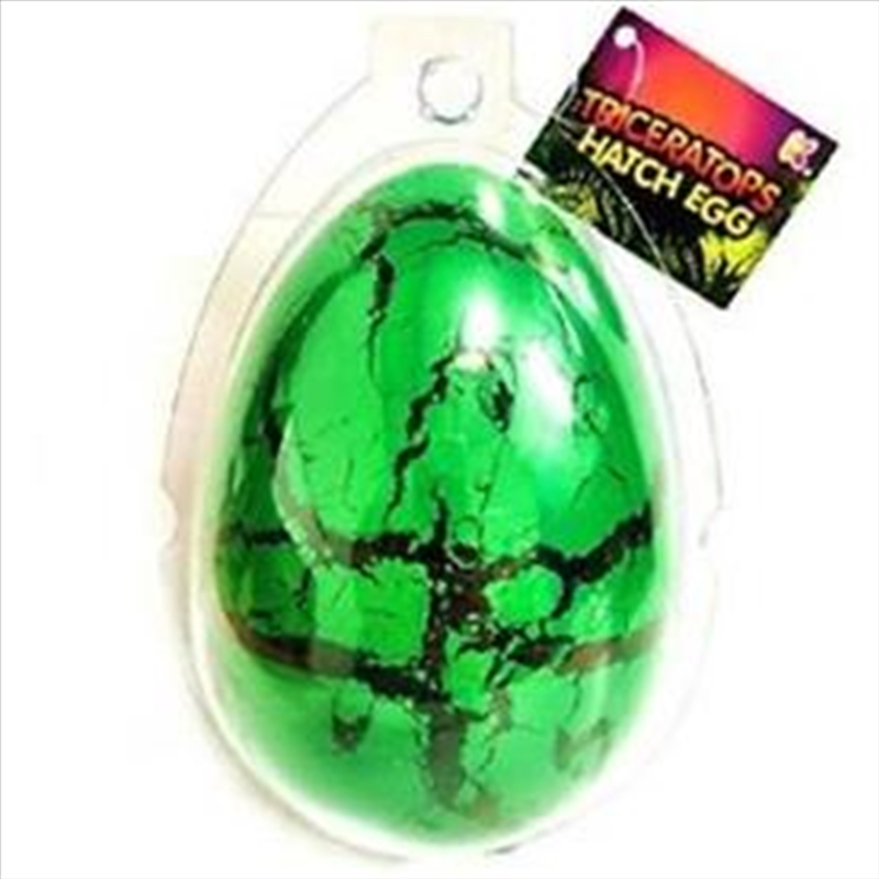 Large Triceratops Dinosaur Hatching Egg/Product Detail/Grow Your Own