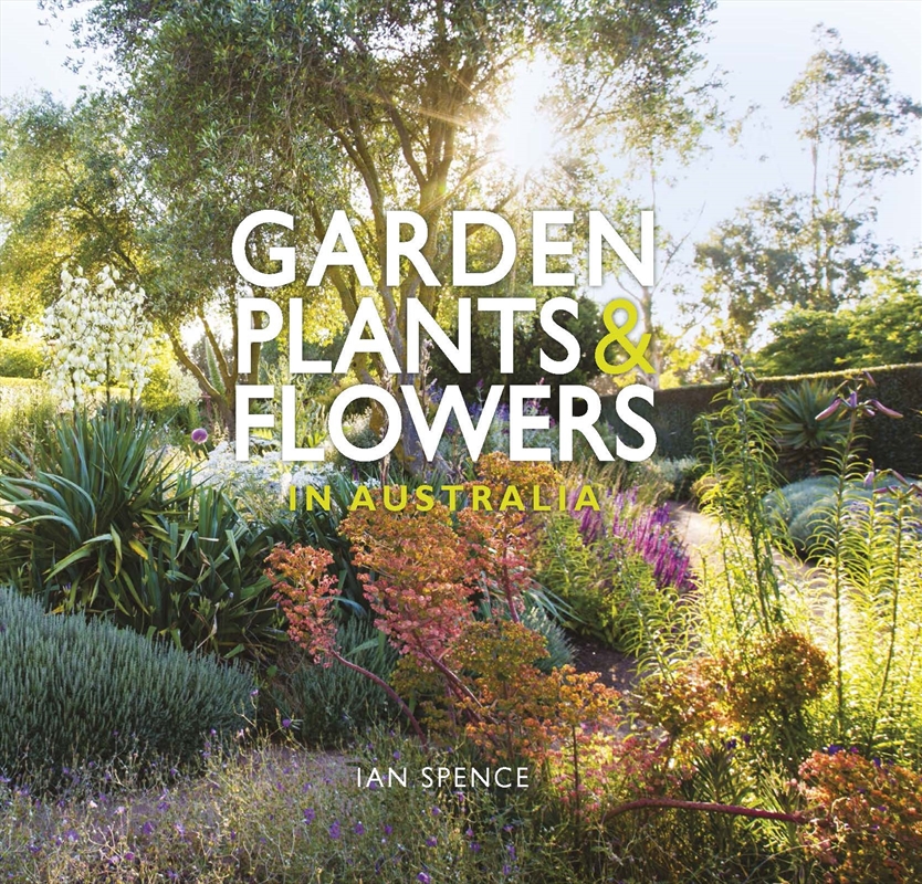 Garden Plants & Flowers in Australia/Product Detail/Gardening