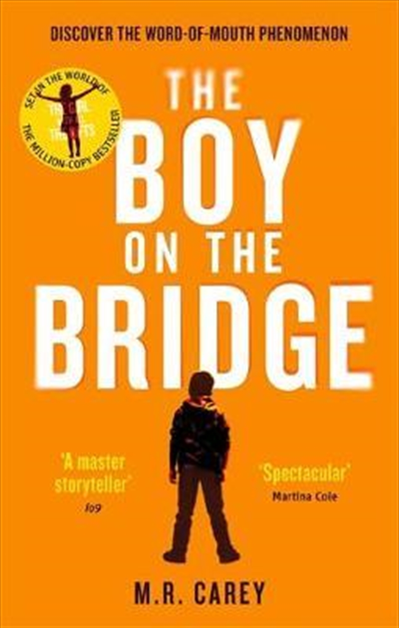 The Boy on the Bridge/Product Detail/Reading