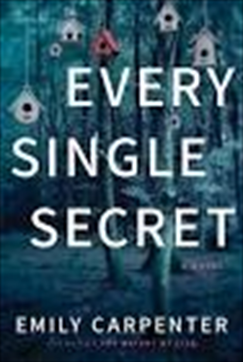 Every Single Secret/Product Detail/Crime & Mystery Fiction