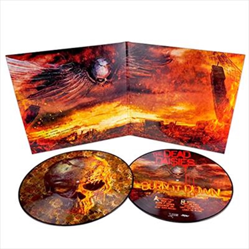 Burn It Down - Picture Vinyl/Product Detail/Hard Rock