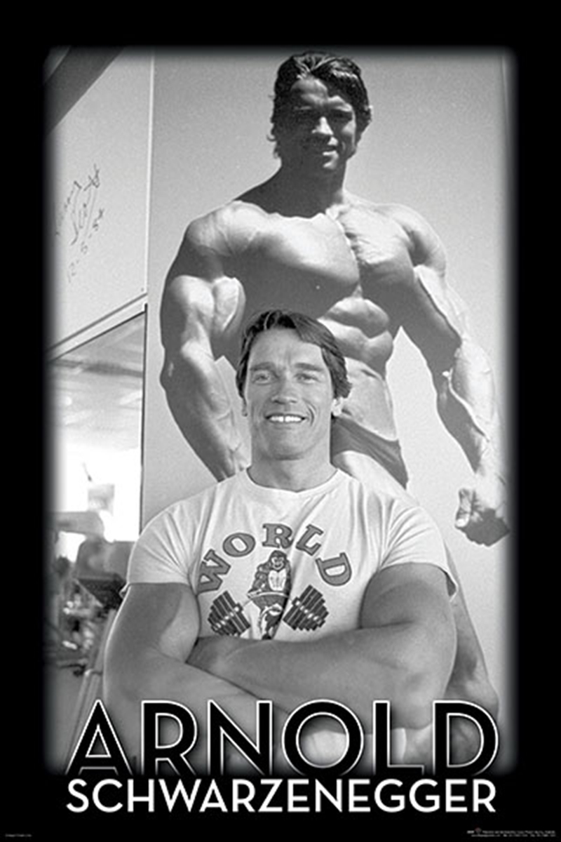 Arnold Schwarzenegger - Gym/Product Detail/Posters & Prints
