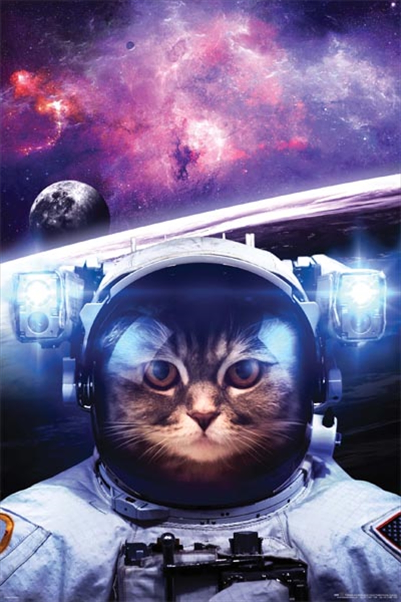 Cat In Space/Product Detail/Posters & Prints