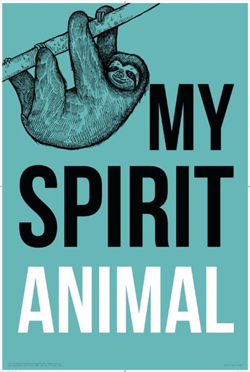 Sloth - Spirit Animal/Product Detail/Posters & Prints