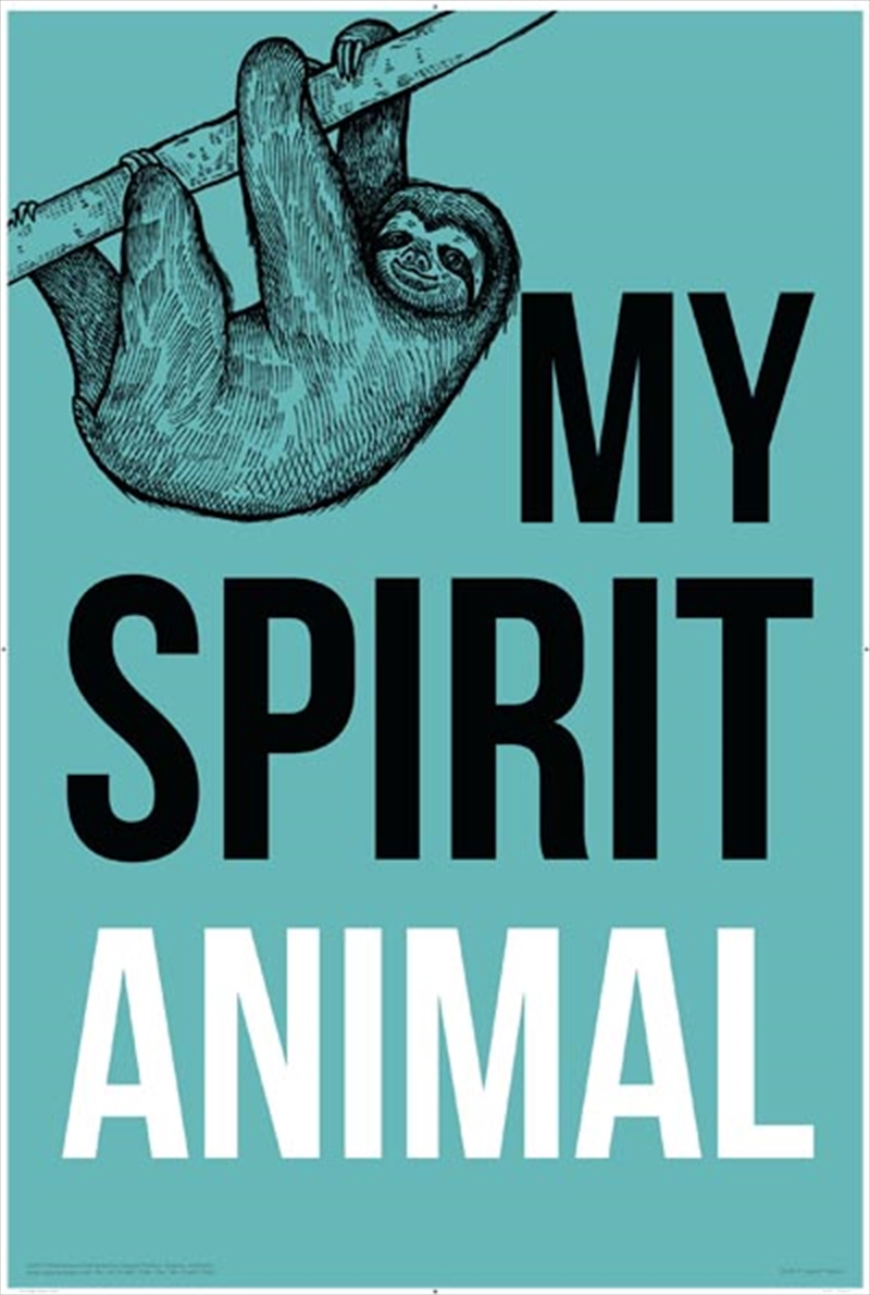 Sloth - Spirit Animal/Product Detail/Posters & Prints