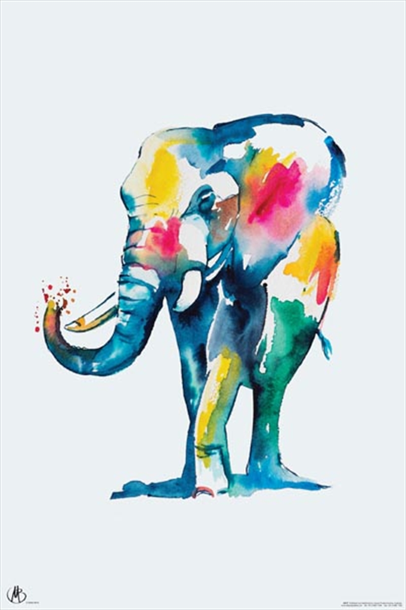 Matteo - Elephant Watercolour | Merchandise