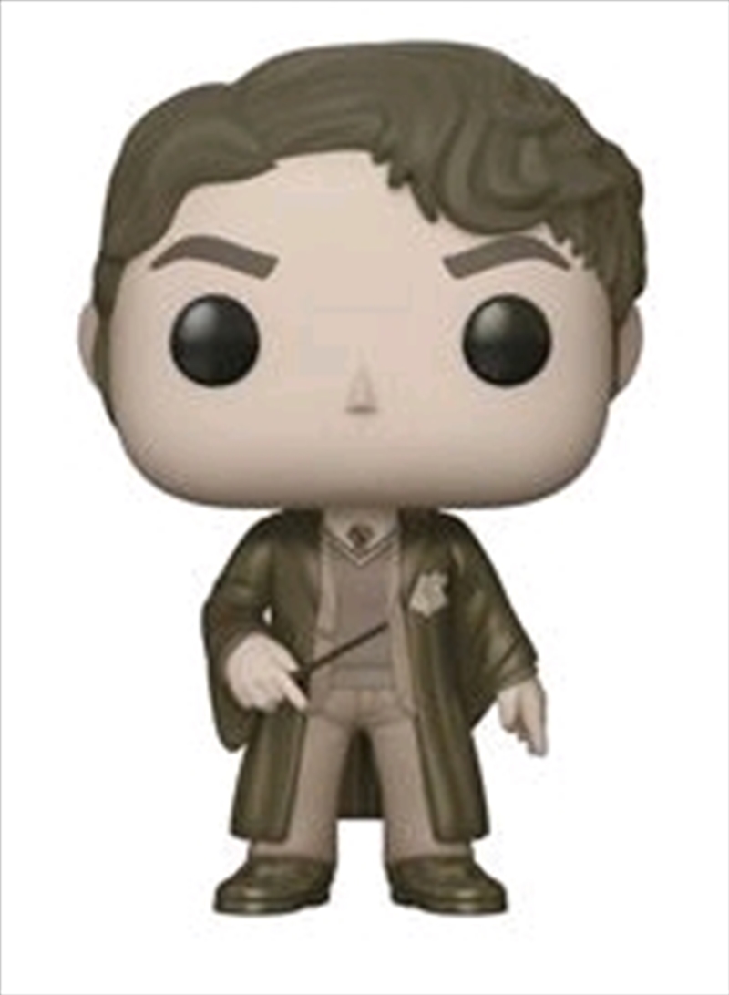 Harry Potter - Tom Riddle Sepia US Exclusive Pop! Vinyl/Product Detail/Movies