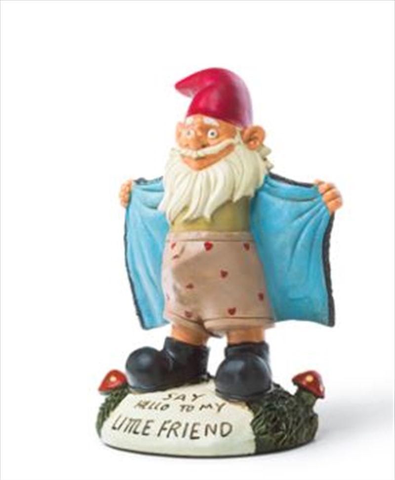 BigMouth Perverted Little Garden Gnome/Product Detail/Decor