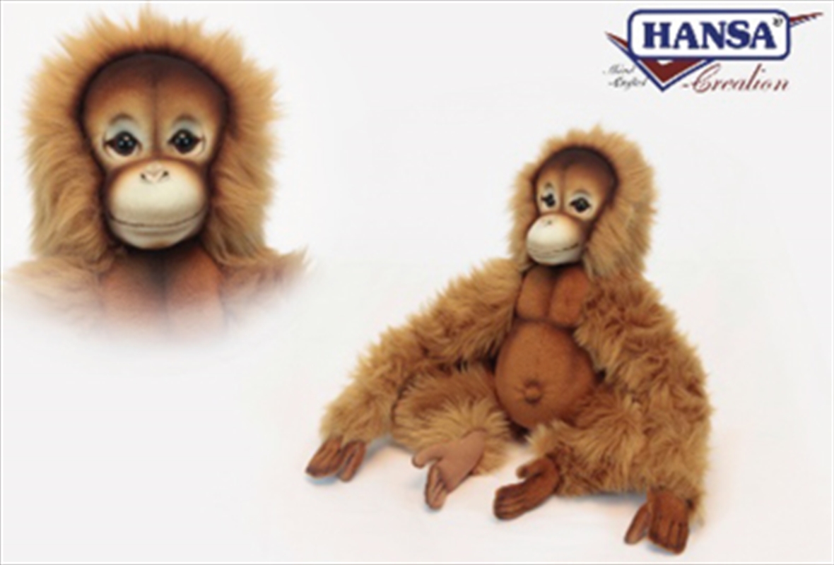 Orangutan 25cm/Product Detail/Plush Toys
