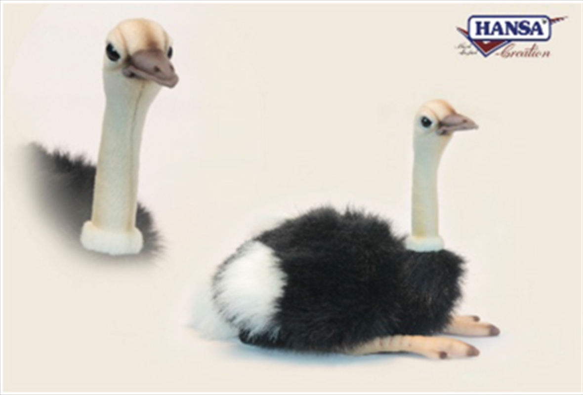 Ostrich Sitting 25cm/Product Detail/Plush Toys