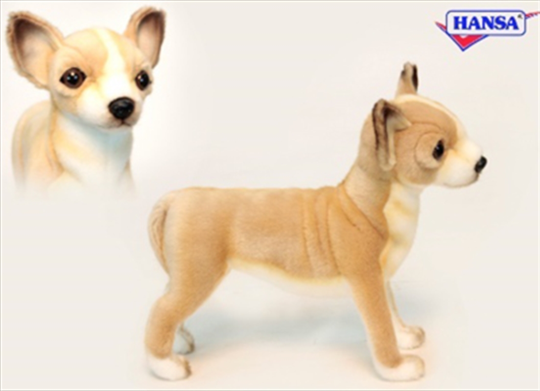 Chihuahua 27cm/Product Detail/Plush Toys
