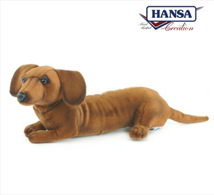 Buy Dachshund Pup 40cm Plush Toy, Toys Sanity