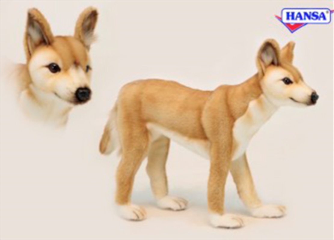 Dingo Standing 45cm/Product Detail/Plush Toys