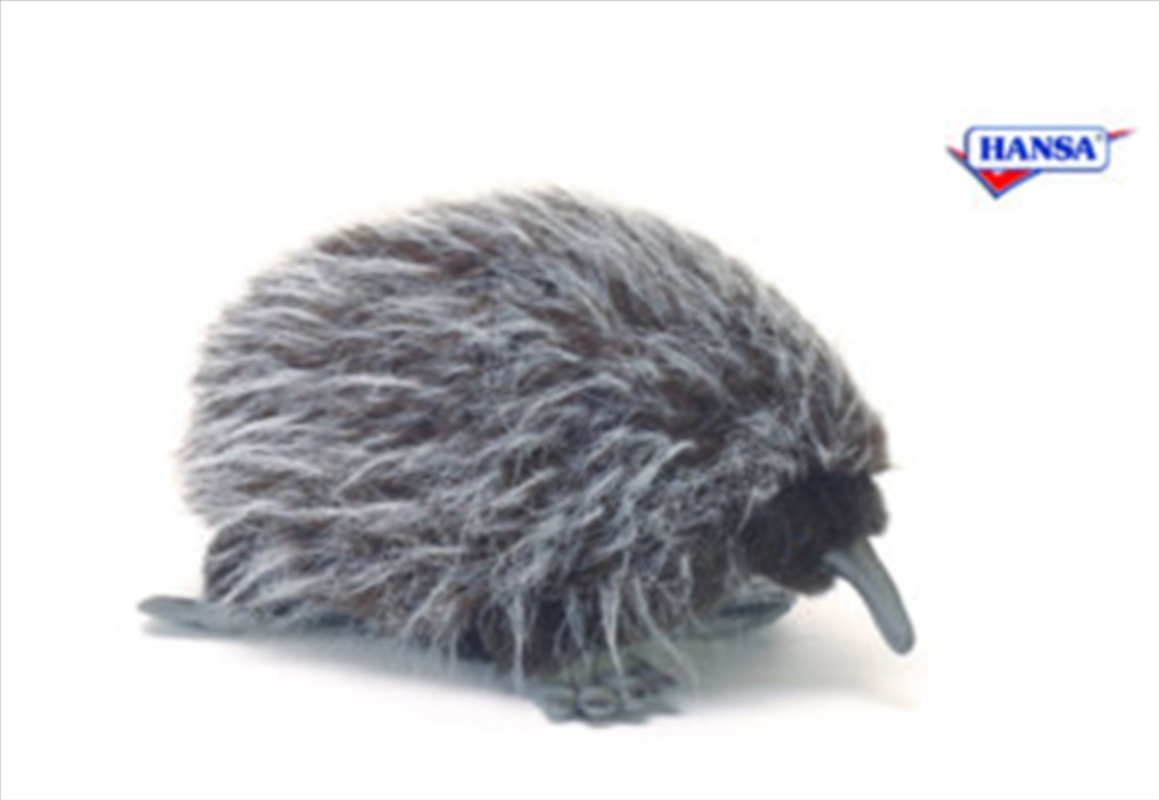 Echidna 28cm/Product Detail/Action Figures & Dolls