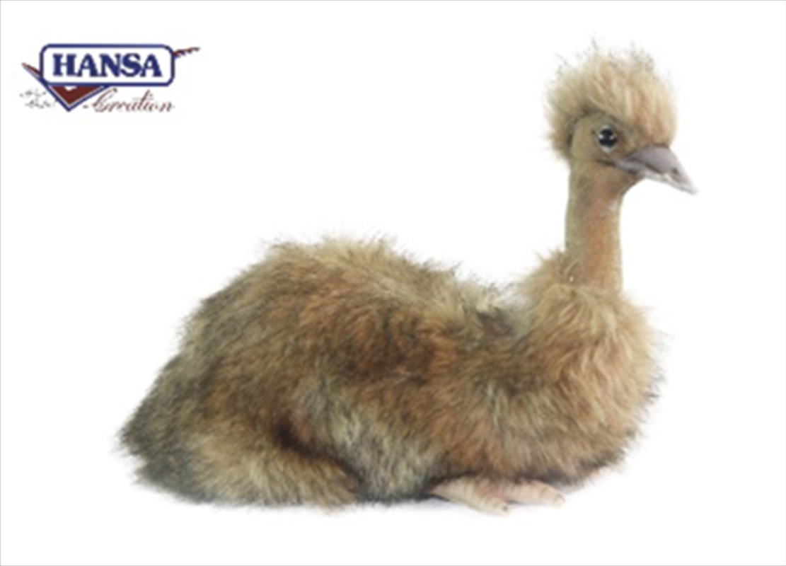 Emu Sitting 23cm/Product Detail/Plush Toys