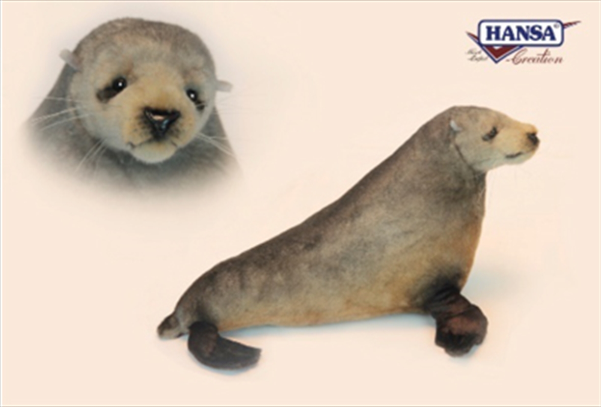Fur Seal Australian 44cm/Product Detail/Plush Toys