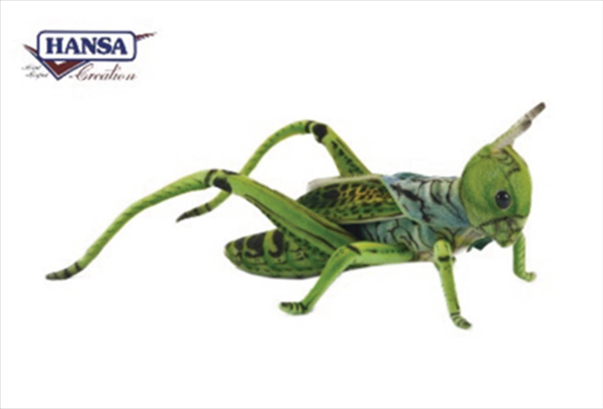 Green Locust: Green 27cm/Product Detail/Plush Toys
