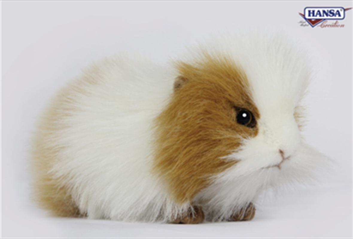 Guinea Pig 20cm Brown And White/Product Detail/Plush Toys