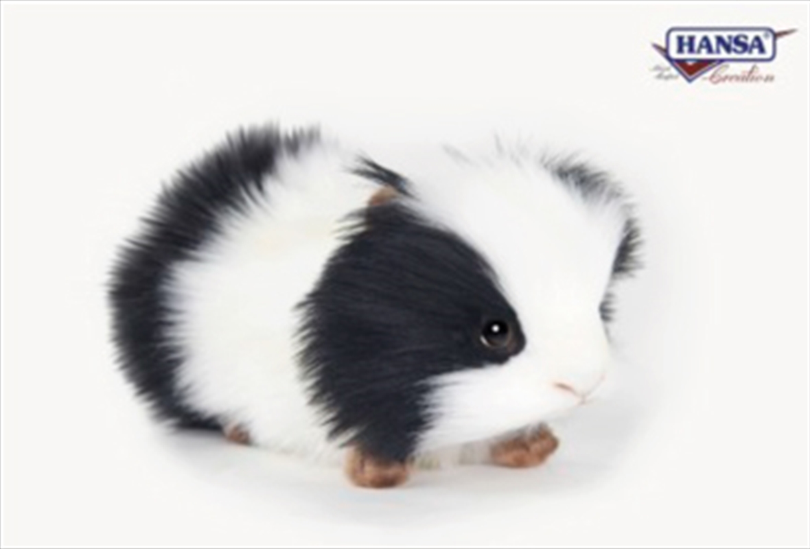 Guinea Pig Black And White 19cm/Product Detail/Plush Toys